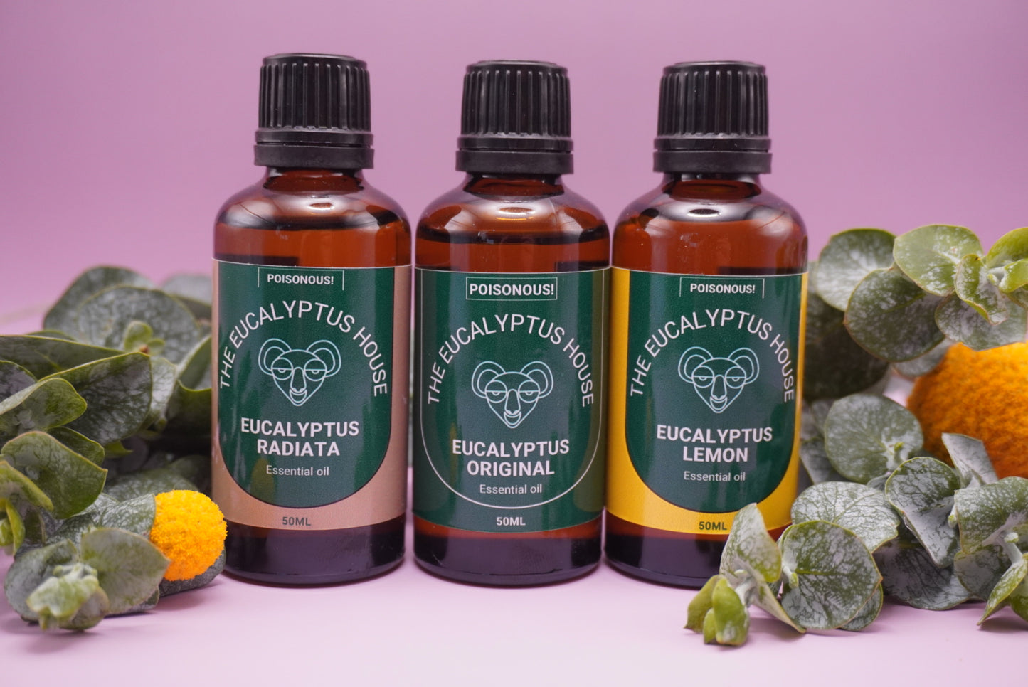 50ml Eucalyptus Essential Oil Trio Pack