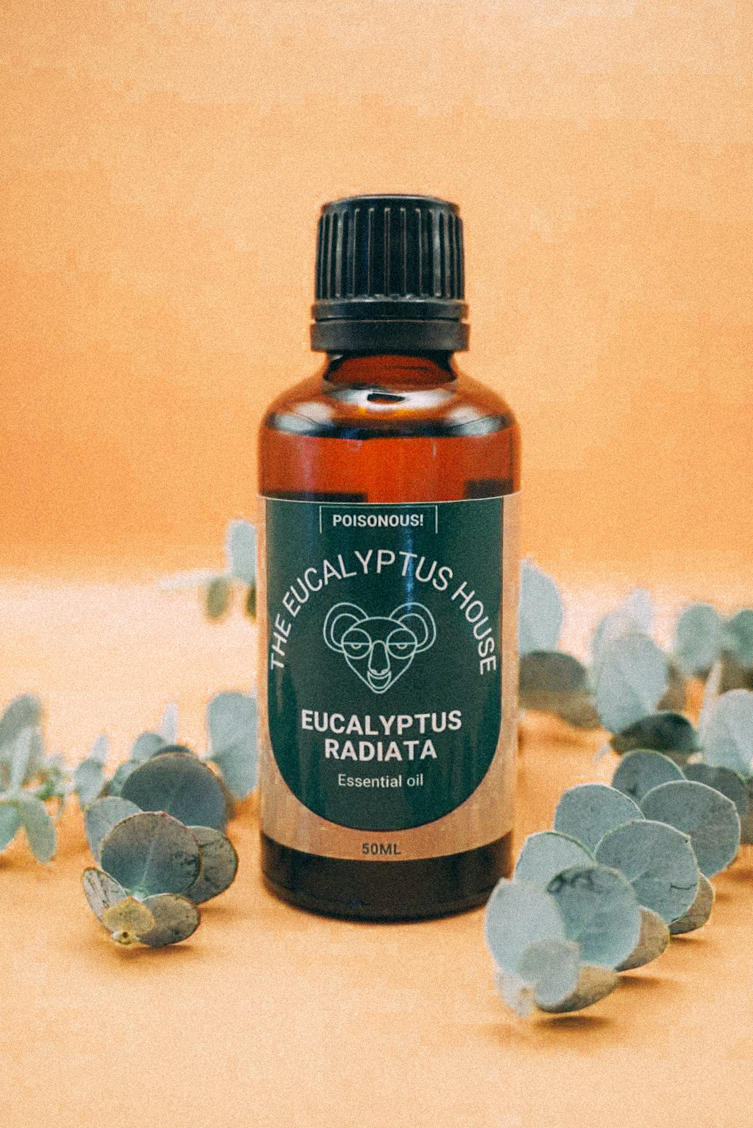 50ml Eucalyptus Radiata Essential Oil