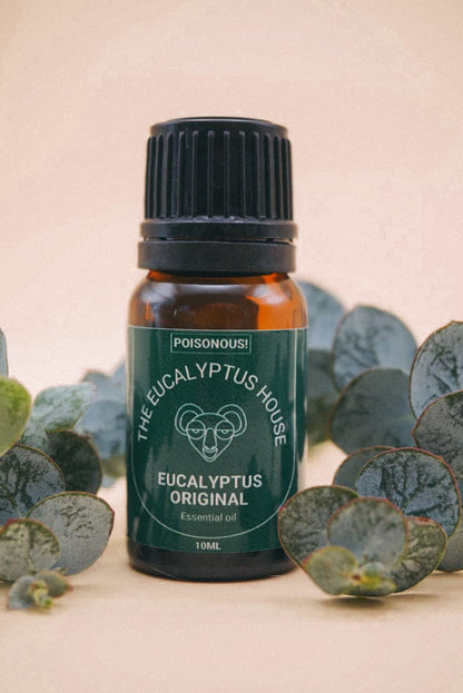 10ml Eucalyptus Original Essential Oil